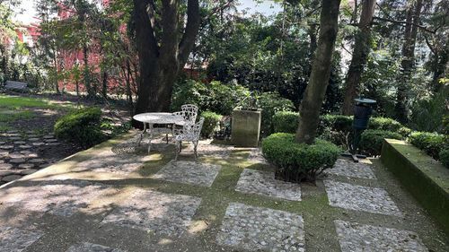 12 de 15
