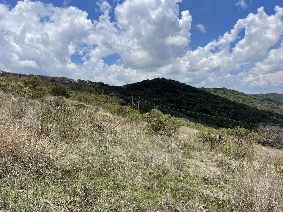 13 de 27