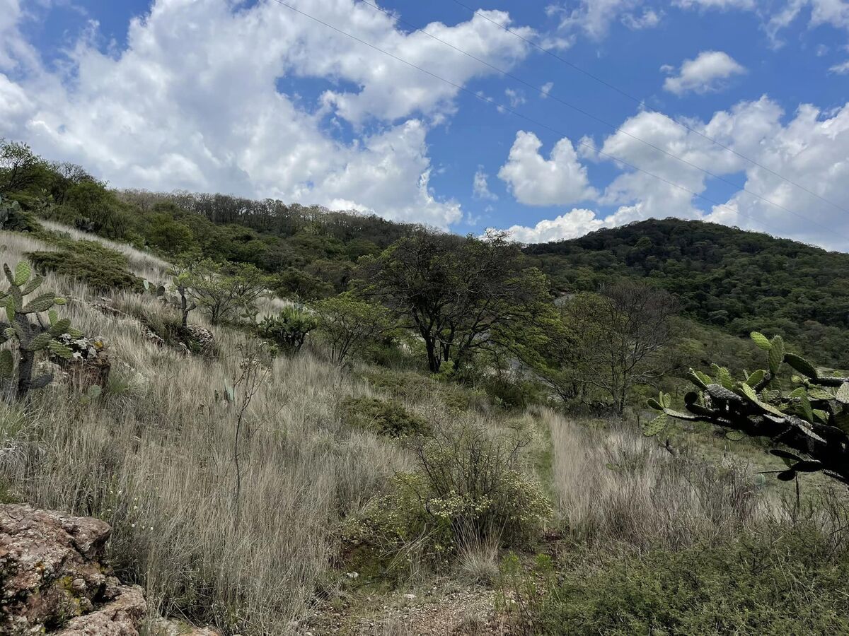 19 de 27