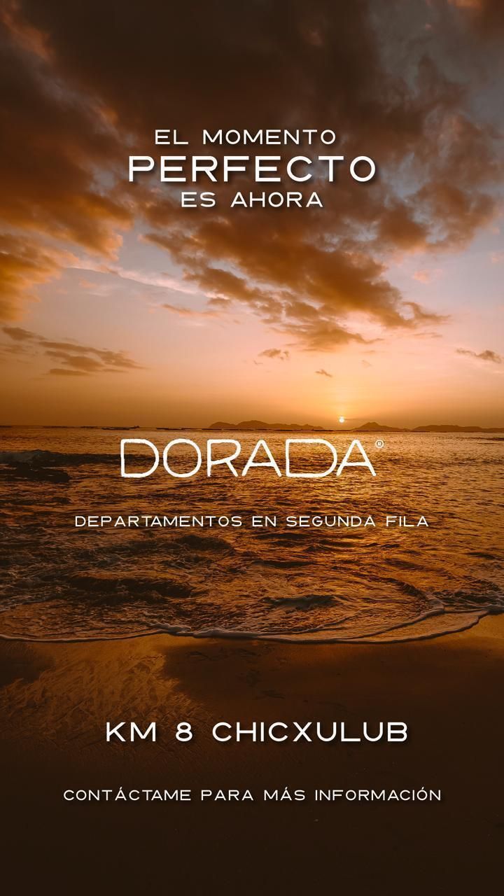 1 de 7