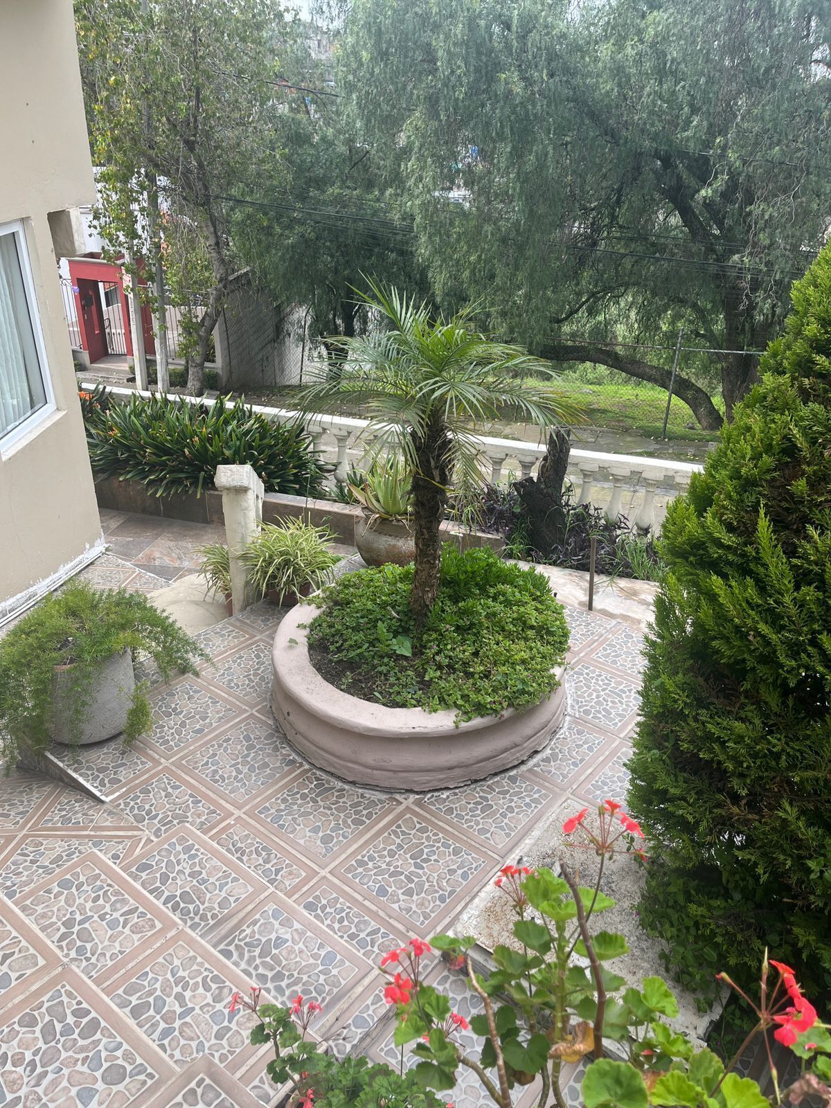 11 de 39