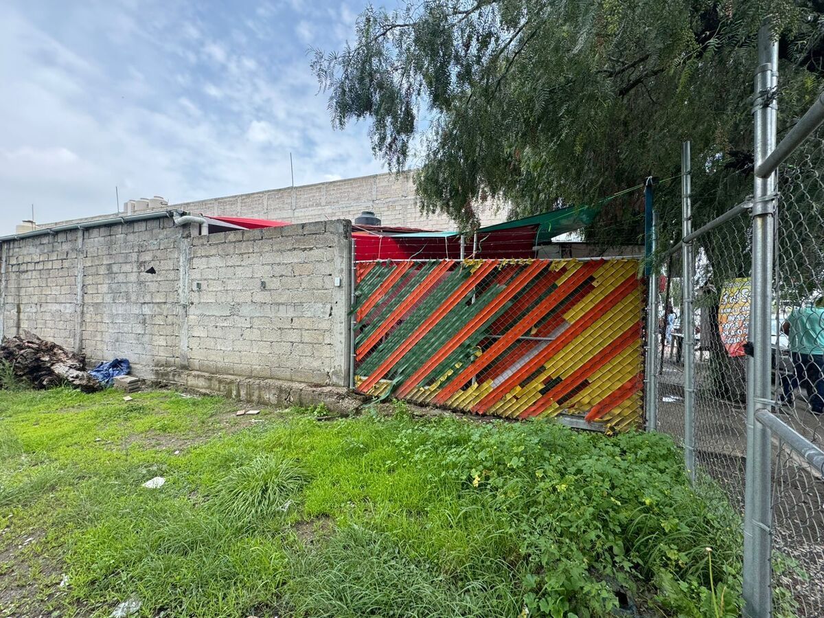 5 de 10