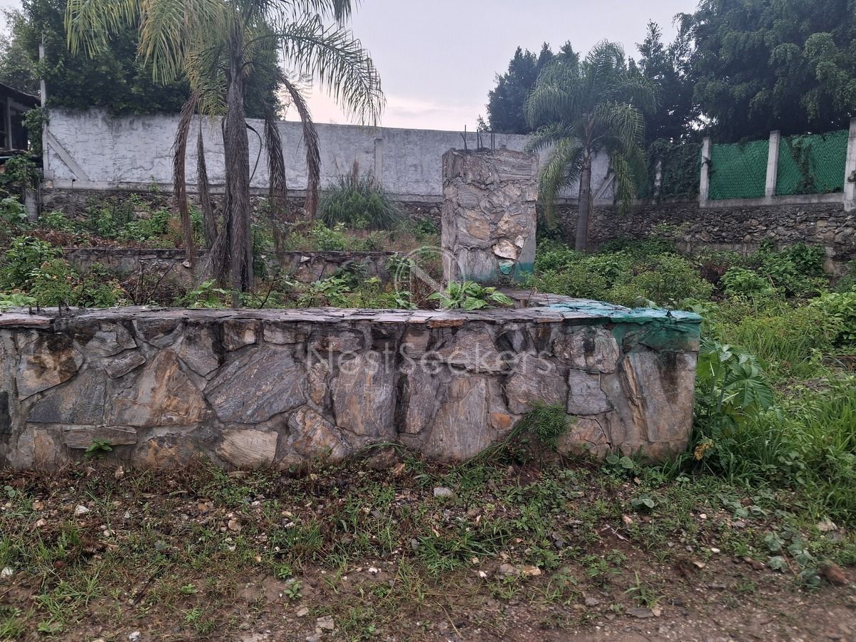 3 de 3