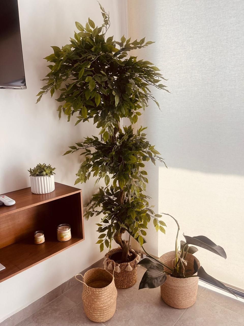 2 de 15