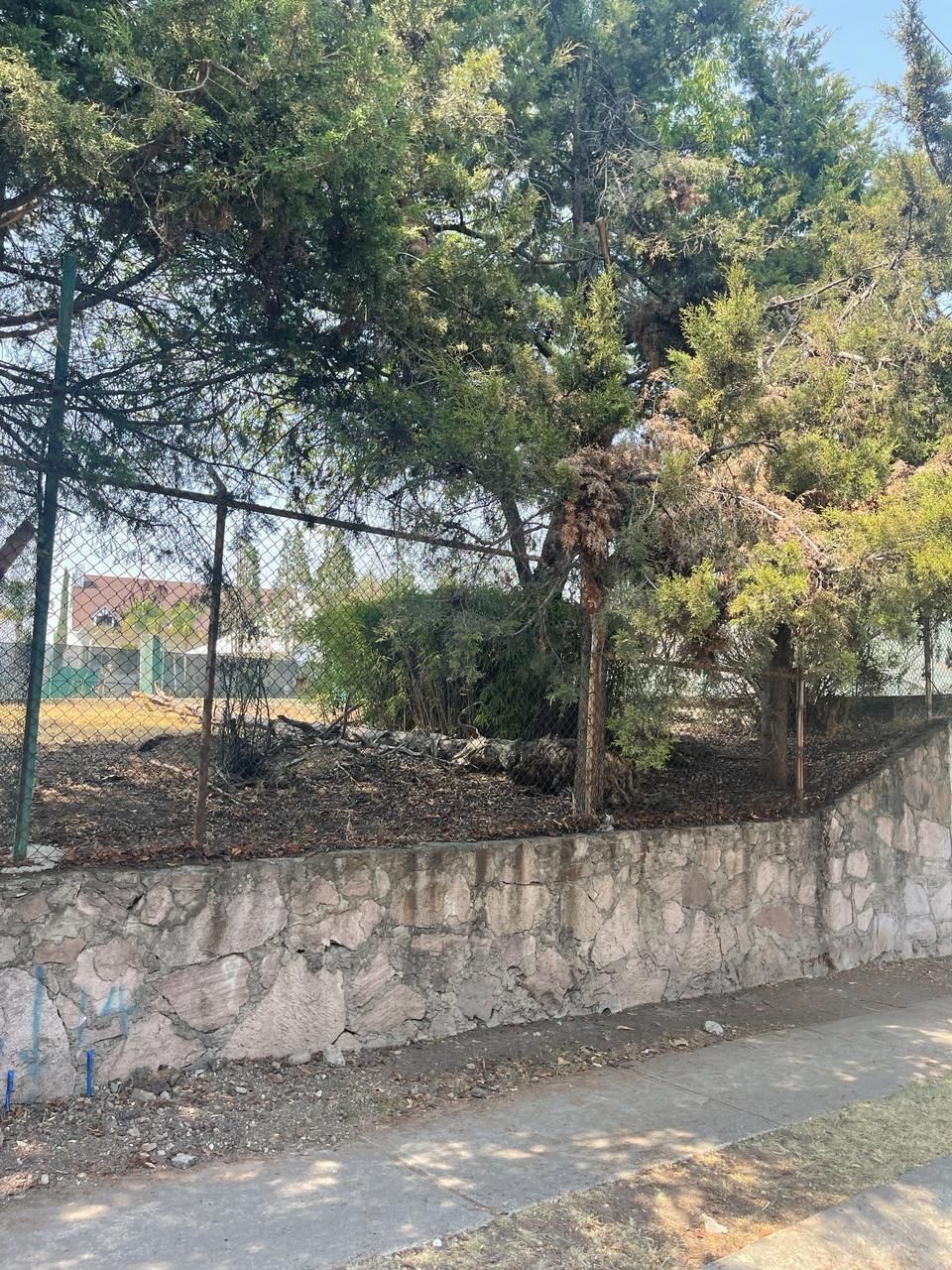 4 de 5
