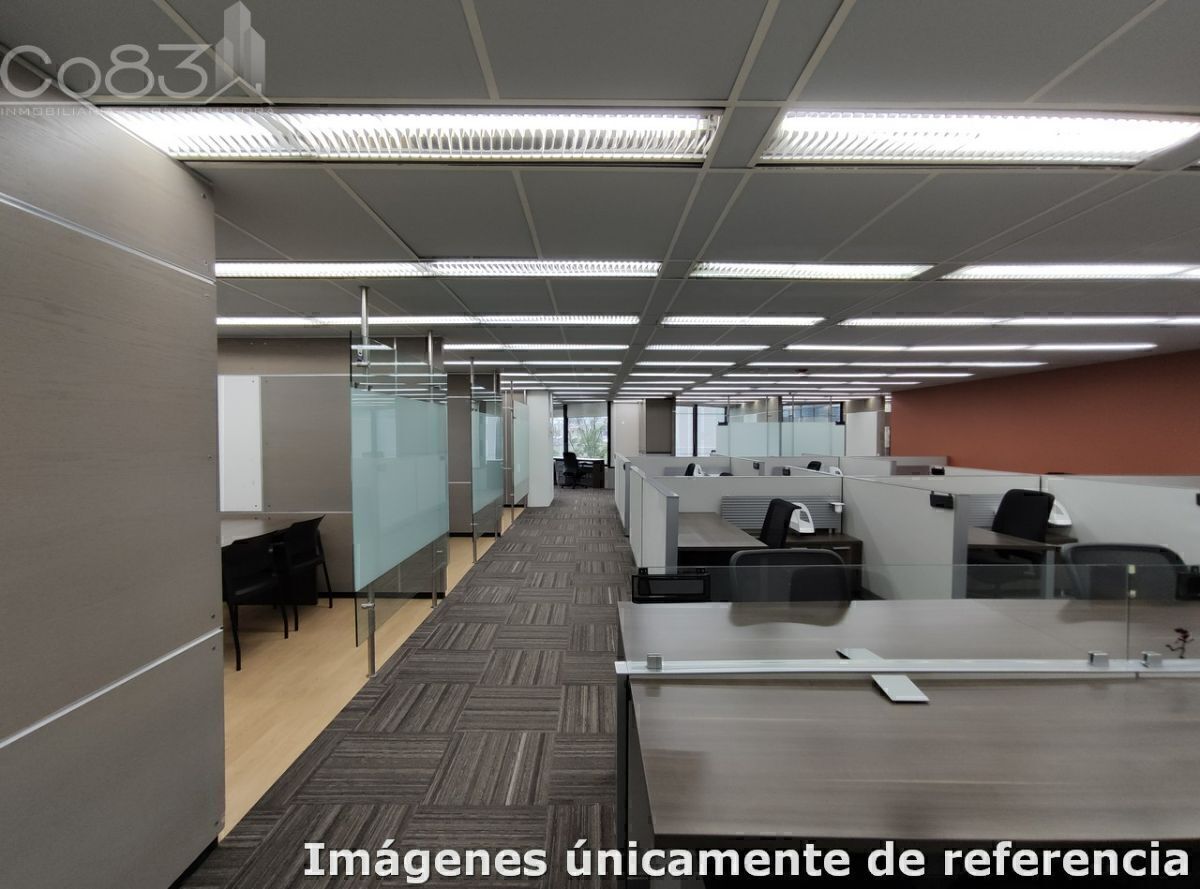 1 de 14