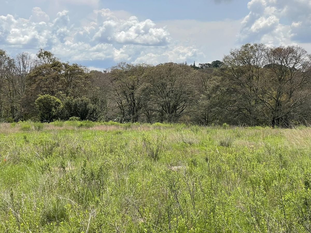 25 de 30