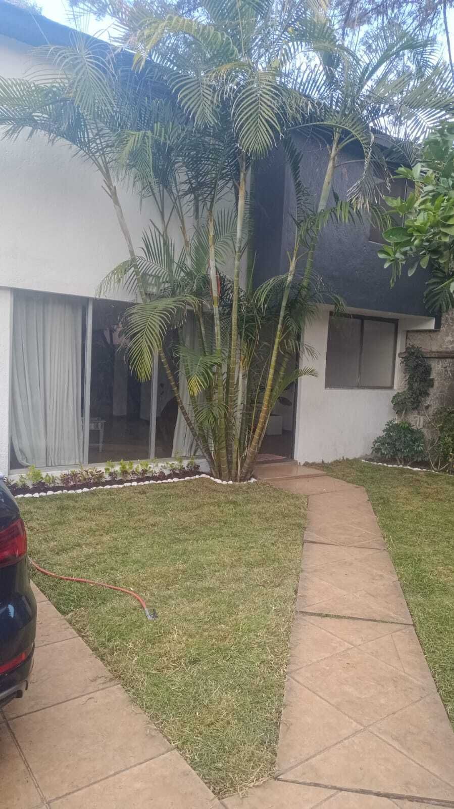 3 de 31