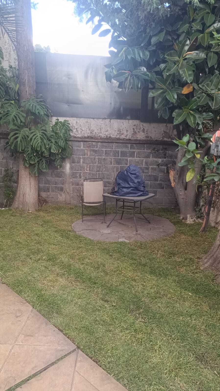 6 de 31