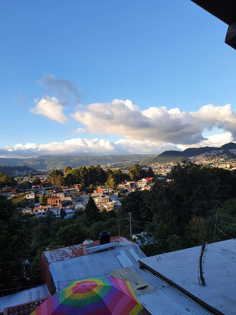 19 de 24
