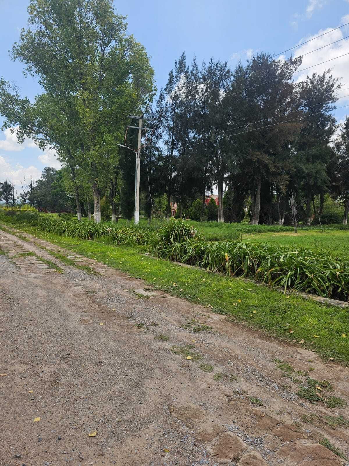 3 de 14