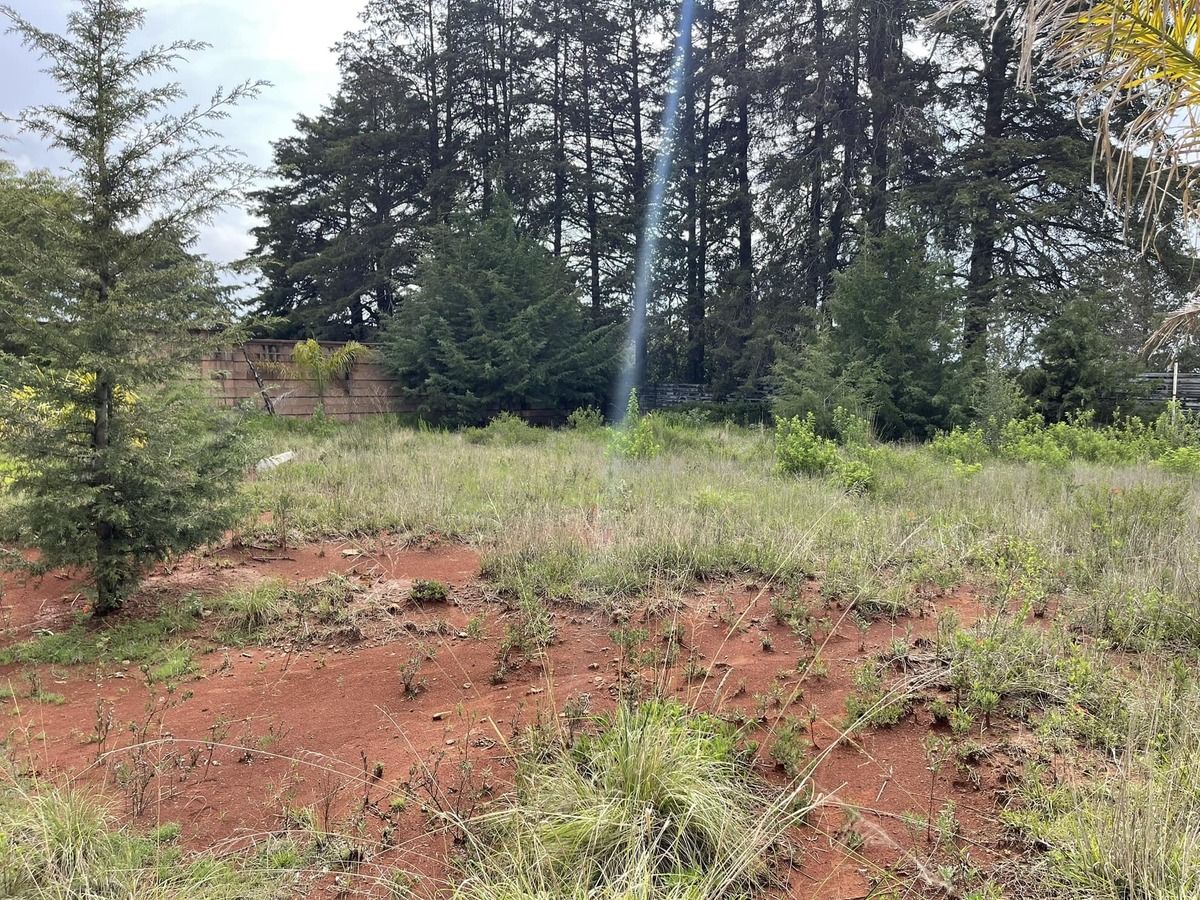 11 de 14