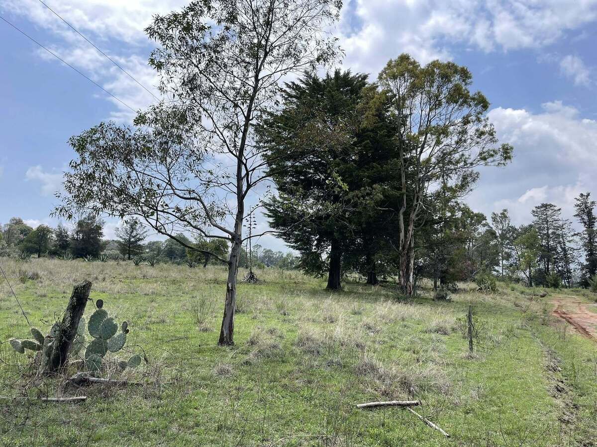 19 de 26