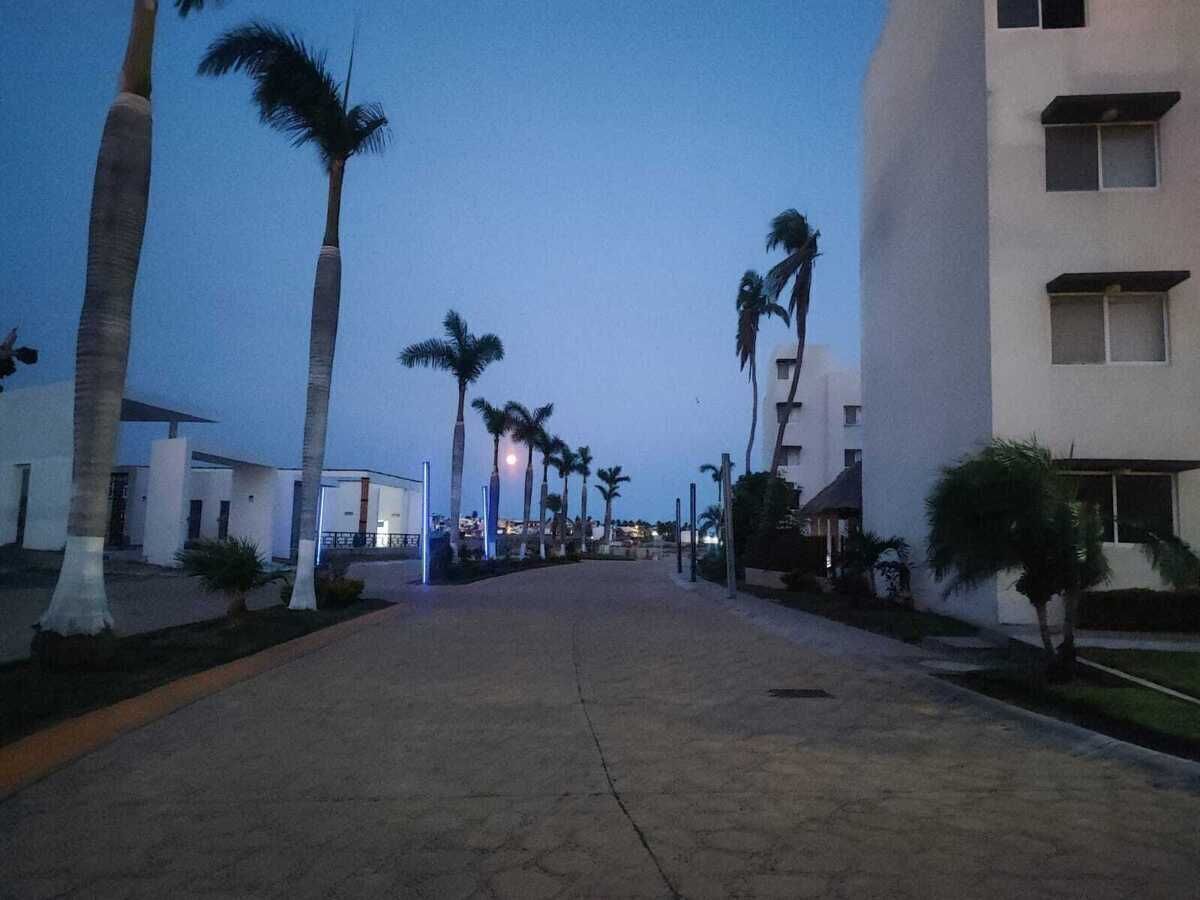 4 de 16