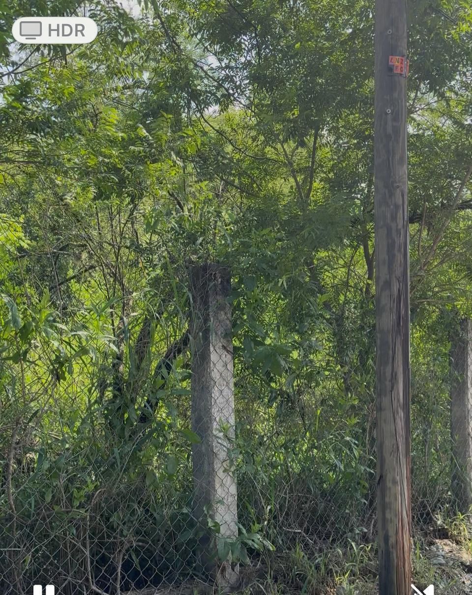 1 de 3