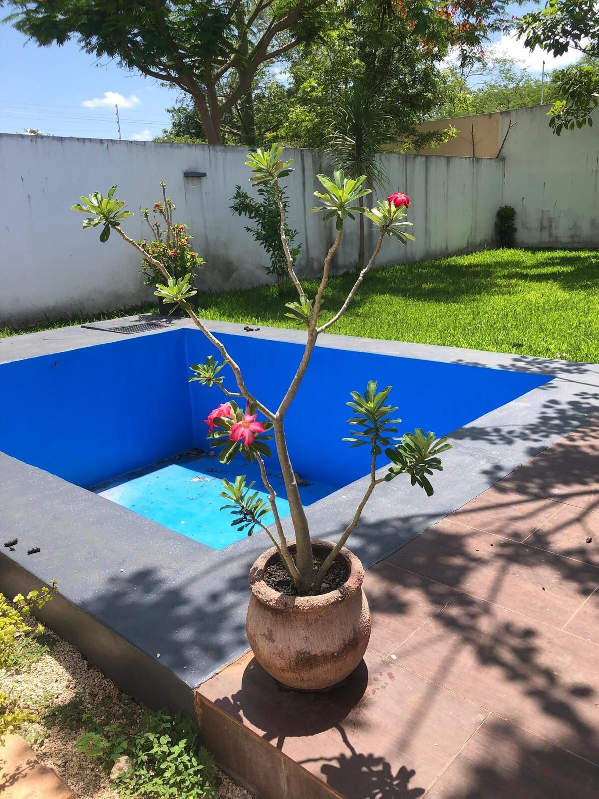 5 de 5