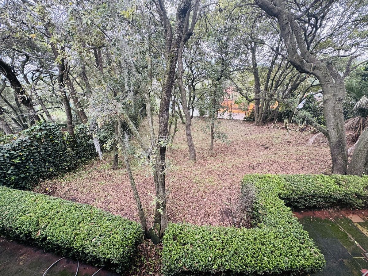 37 de 50