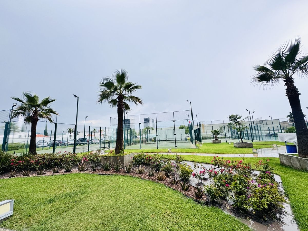 38 de 38: canchas de pádel