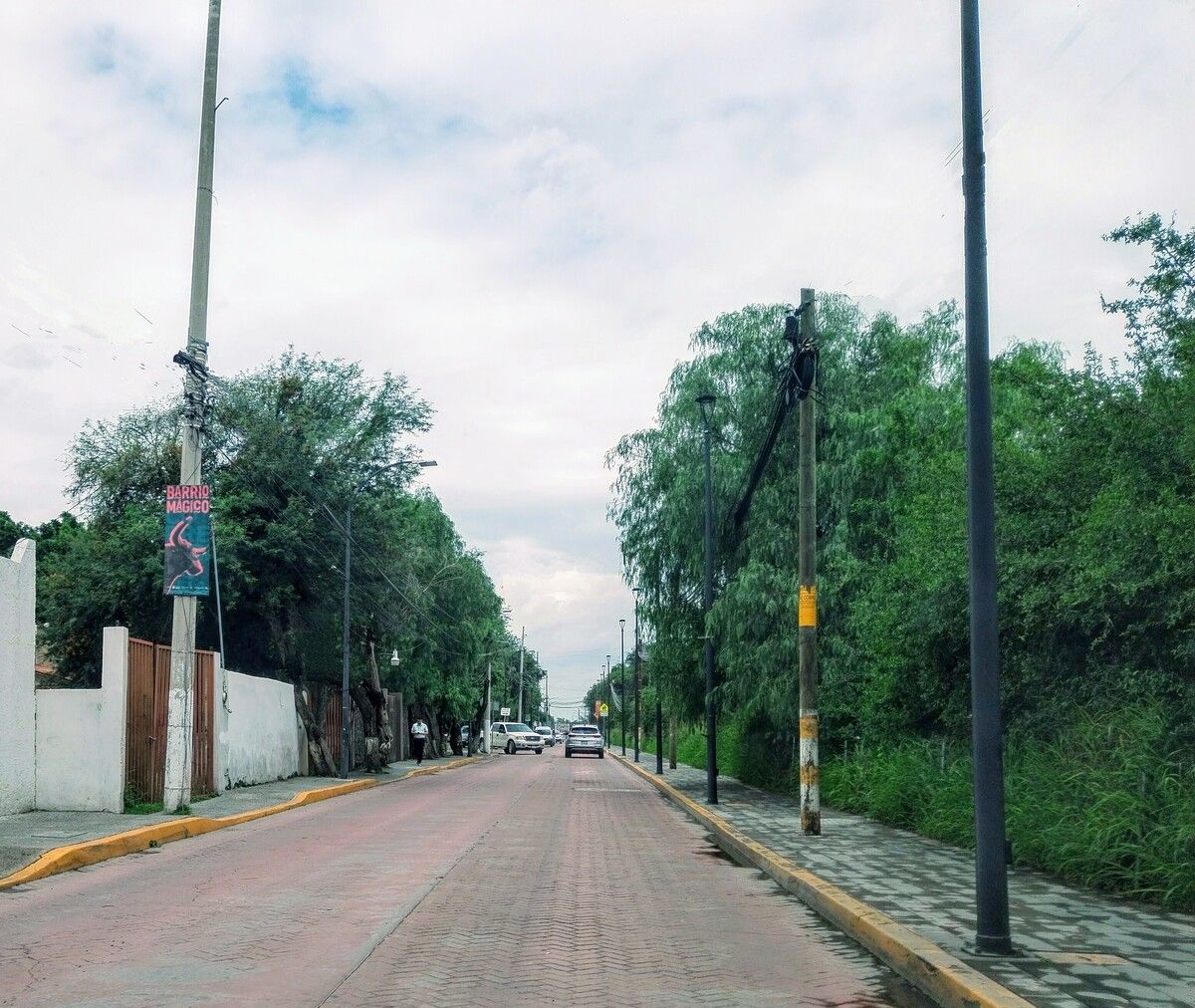 6 de 6