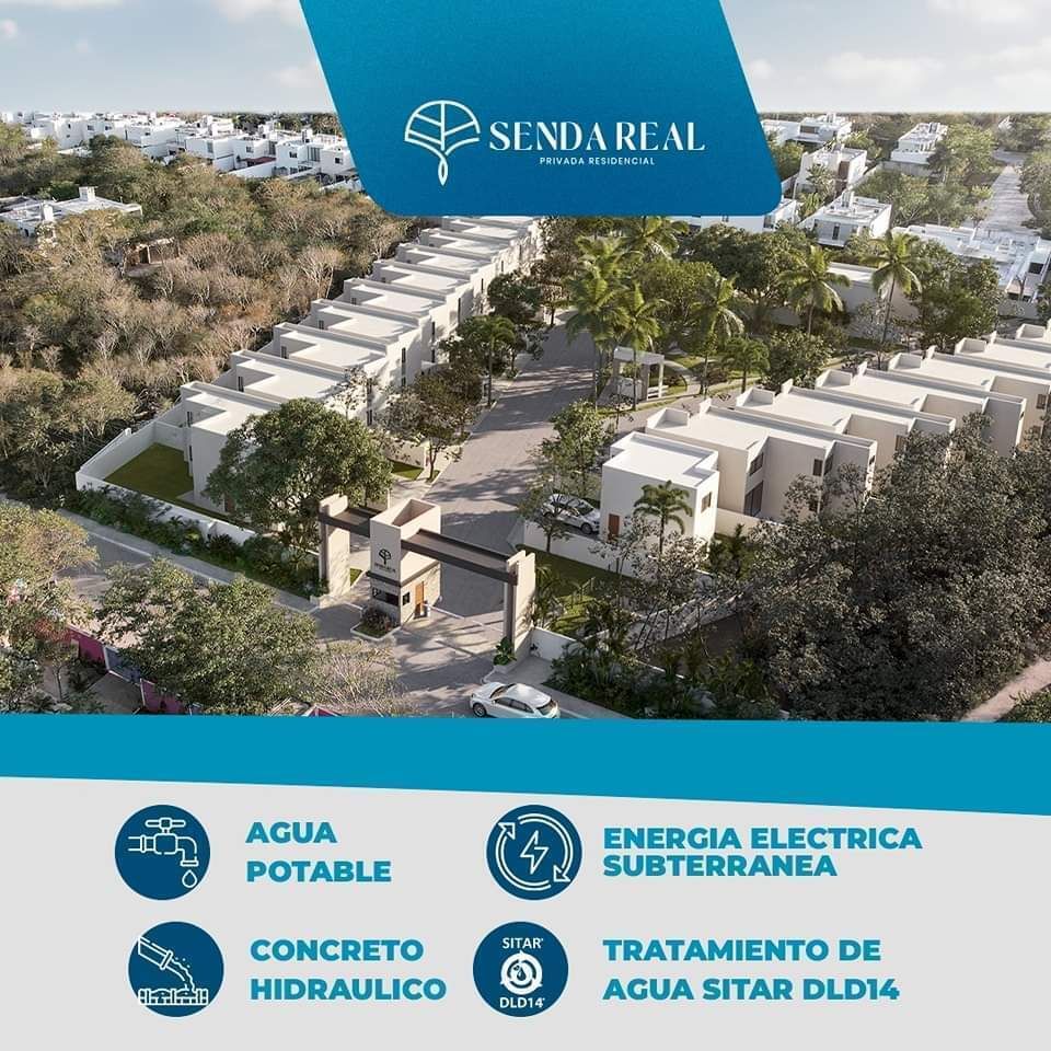 7 de 11: Servicios