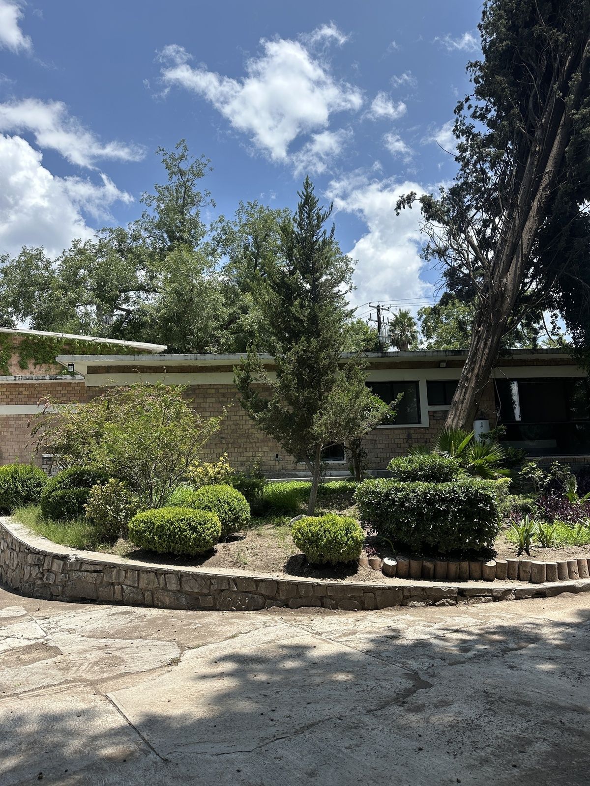 11 de 15