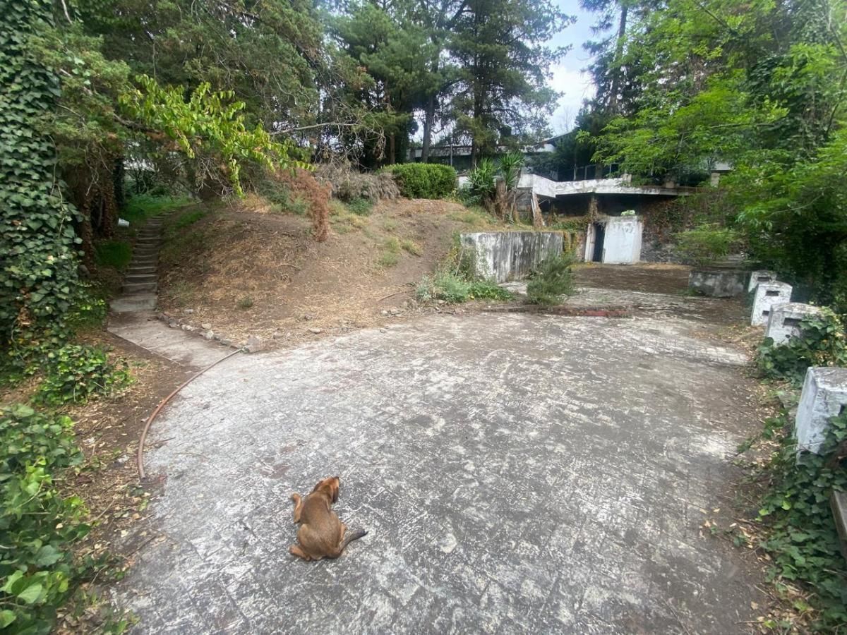 Terreno en Venta en Lomas de Chapultepec - foto 2