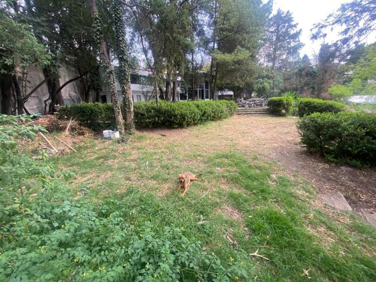 Terreno en Venta en Lomas de Chapultepec - foto 3