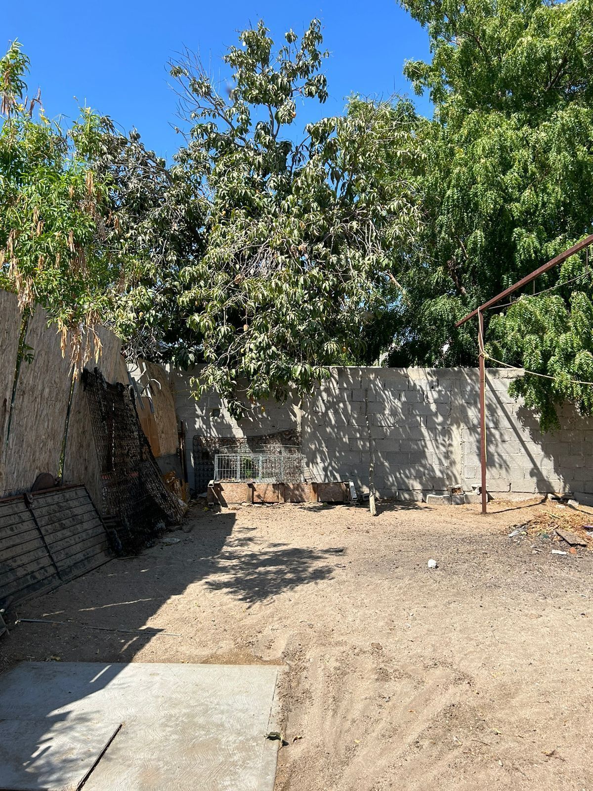 5 of 11