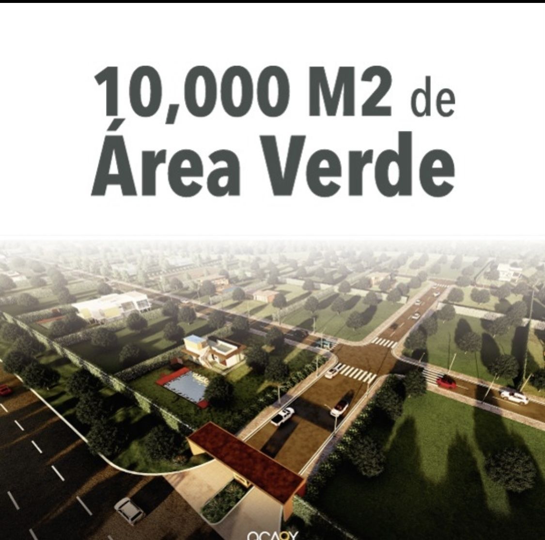 5 de 21