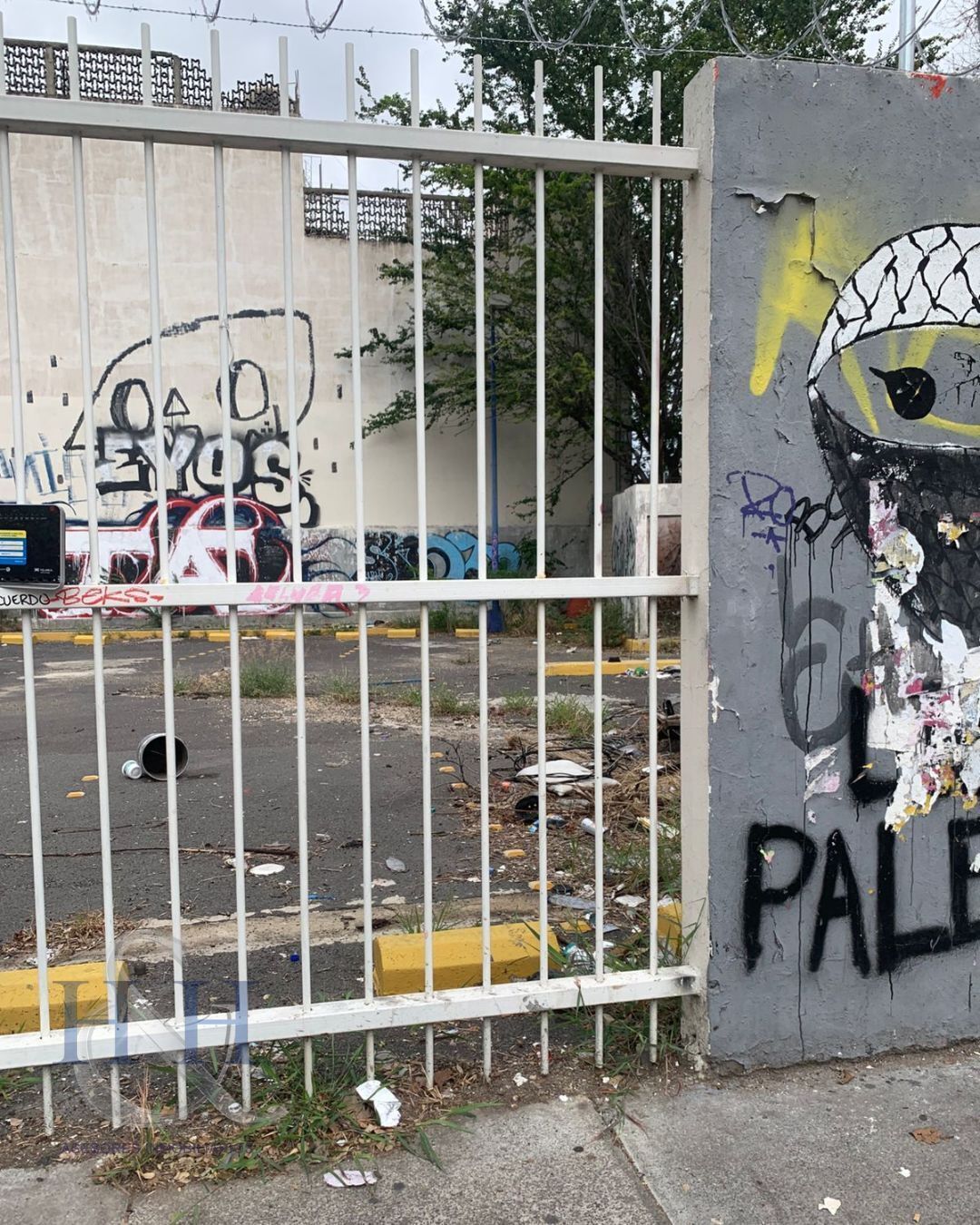 4 de 15