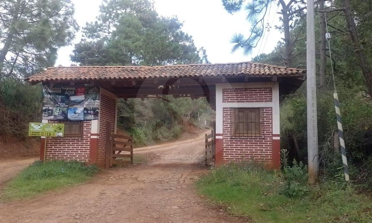 2 de 10