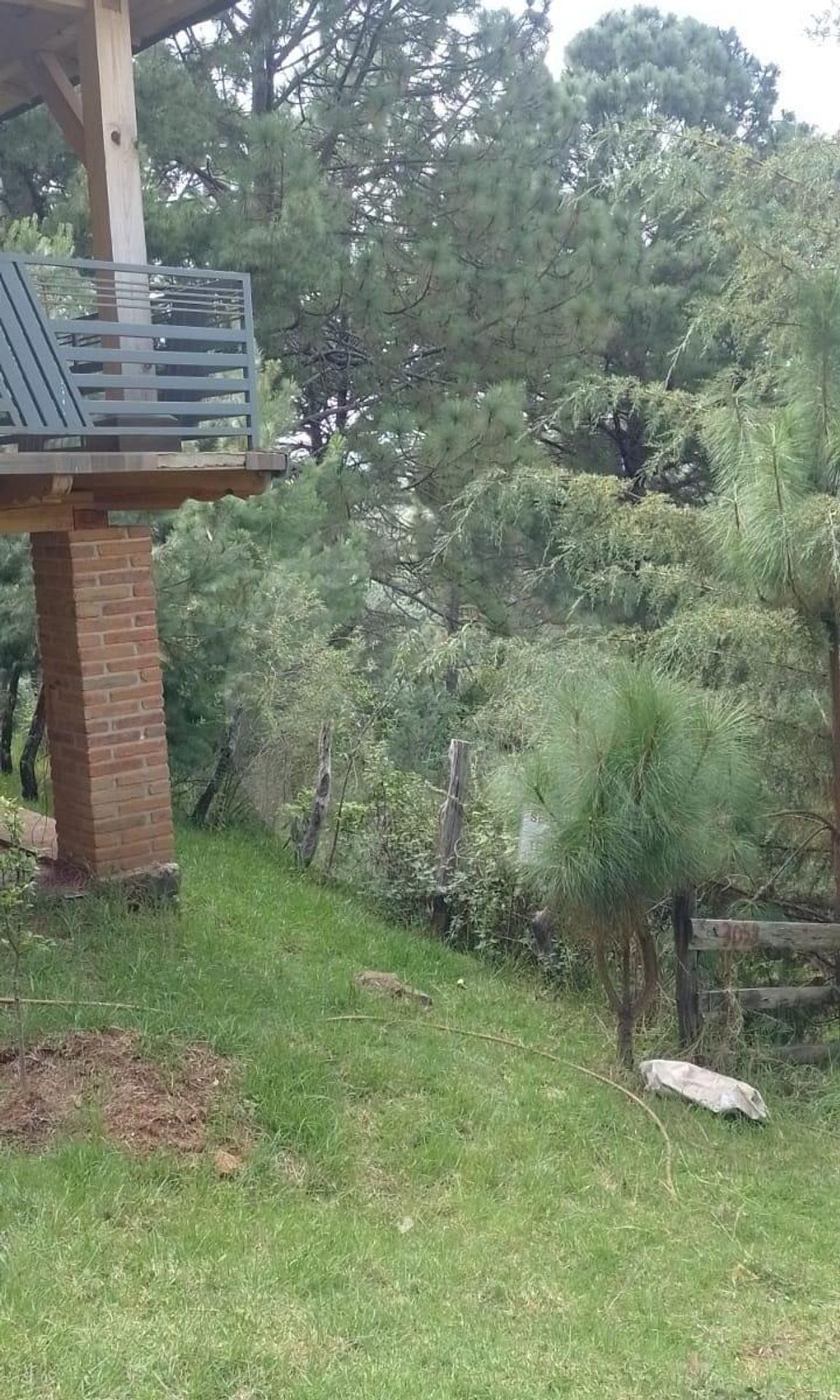 5 de 10