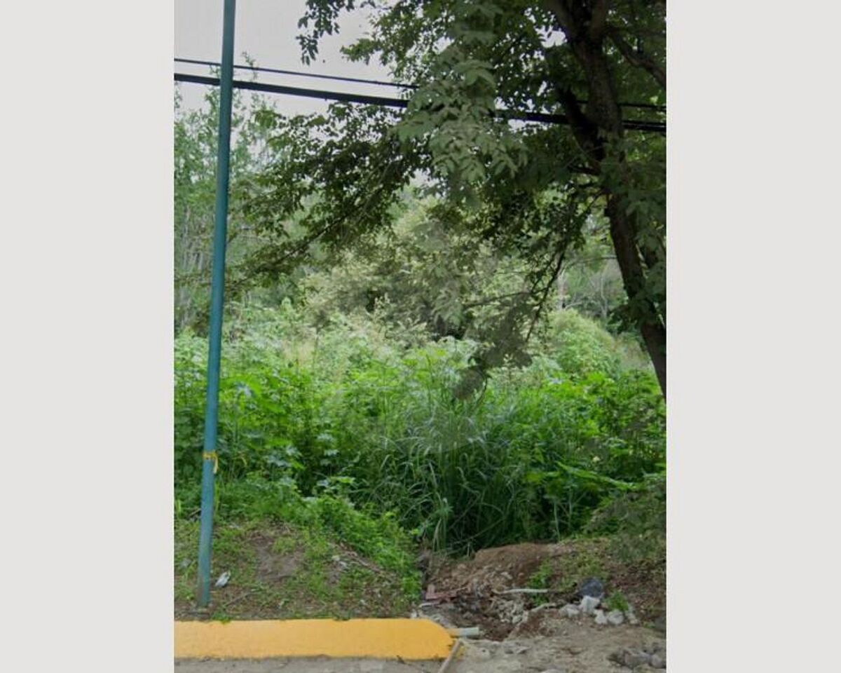 2 de 7