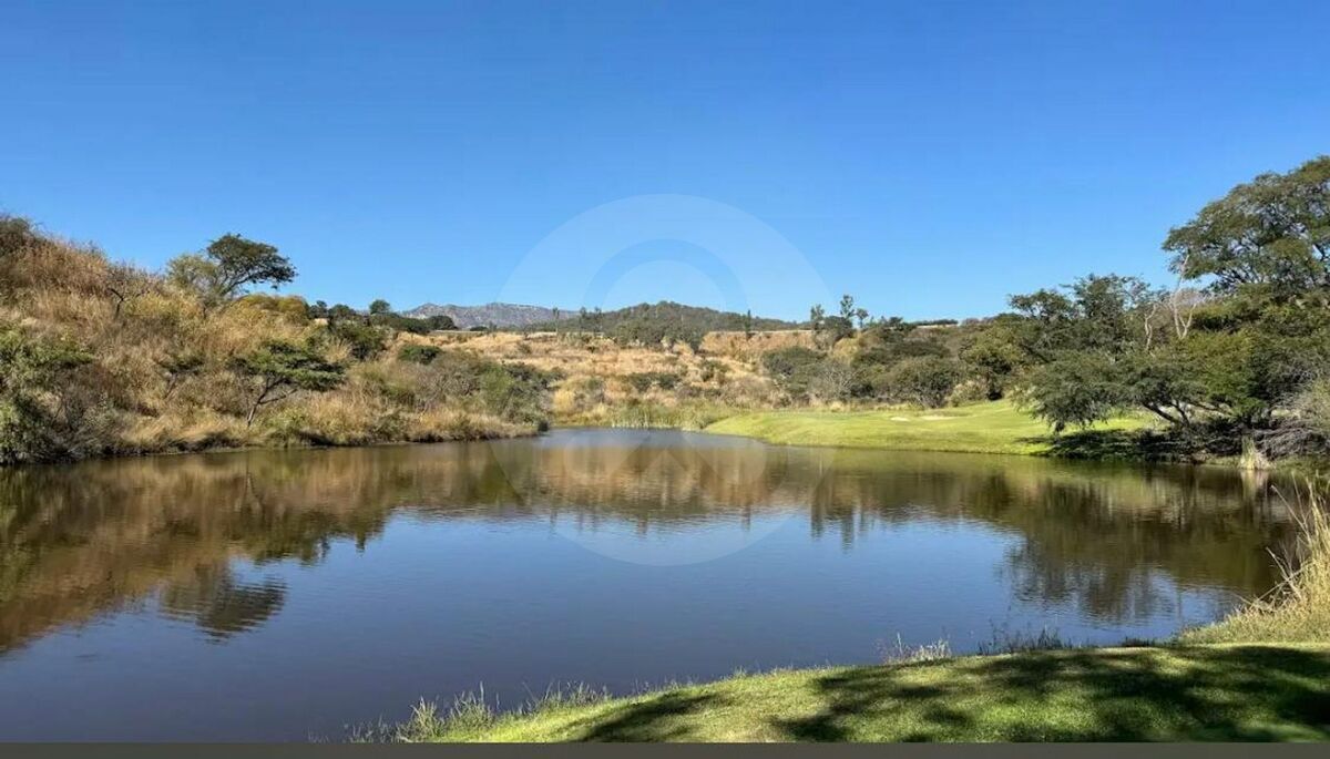 6 de 22