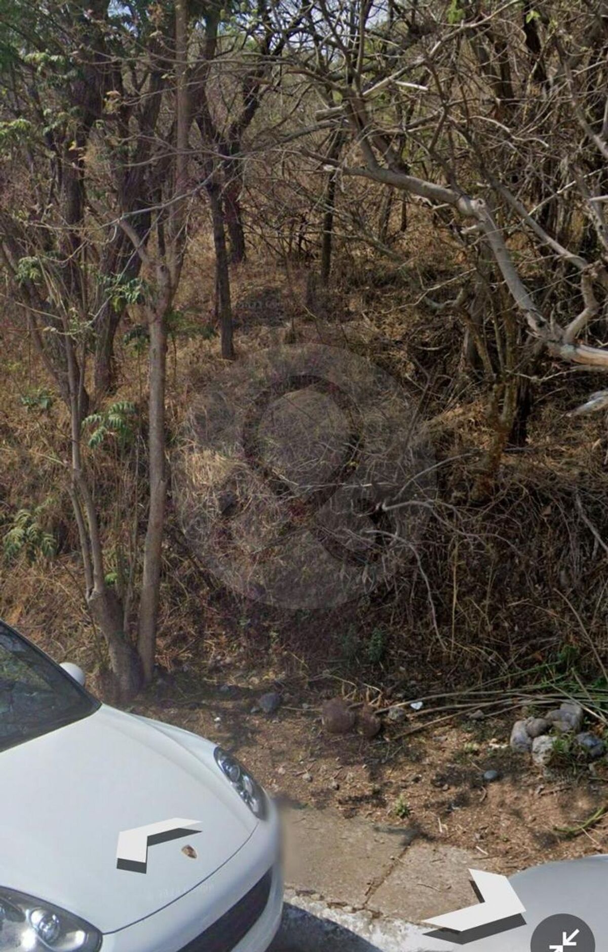 4 de 6