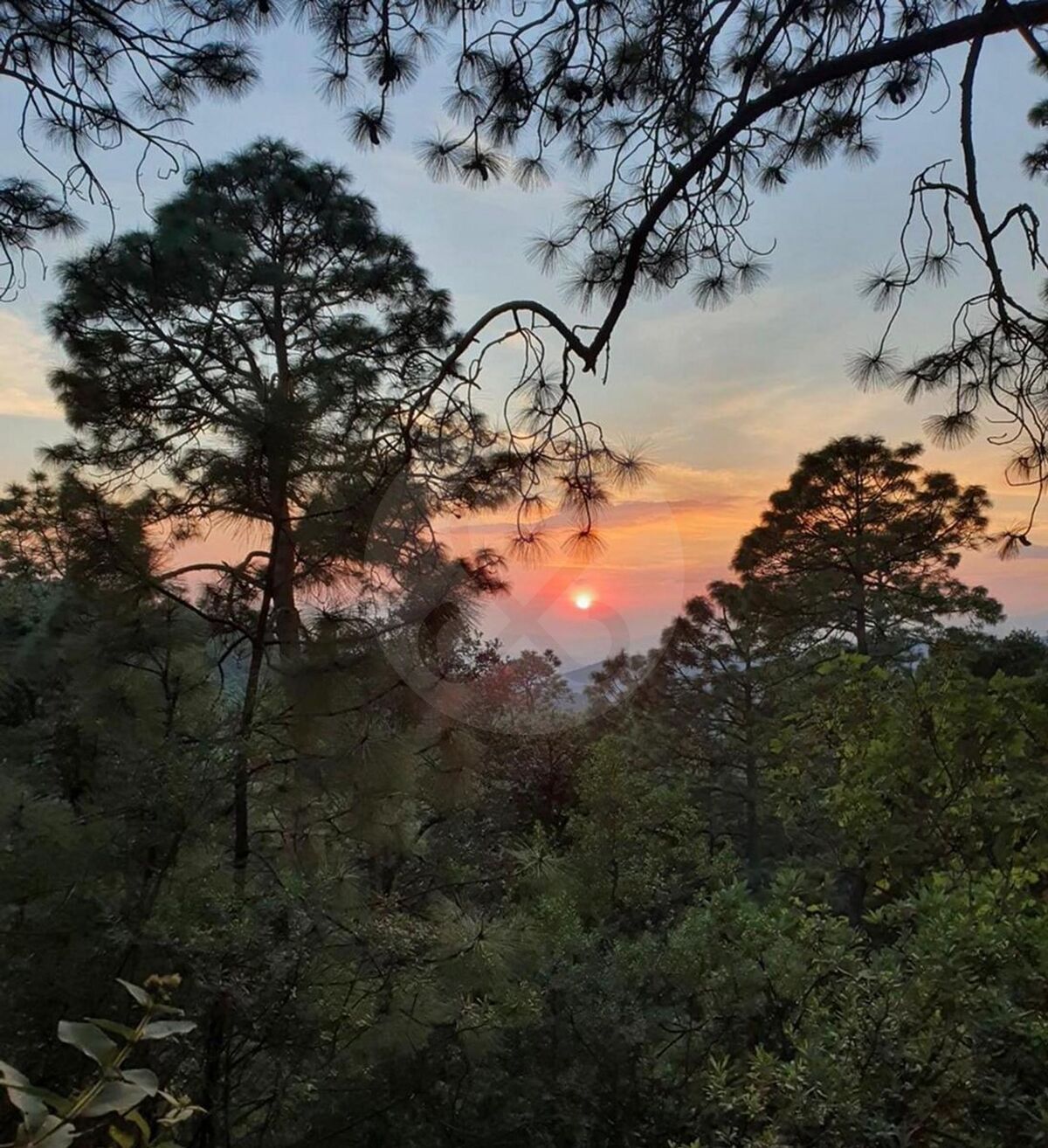 11 de 11