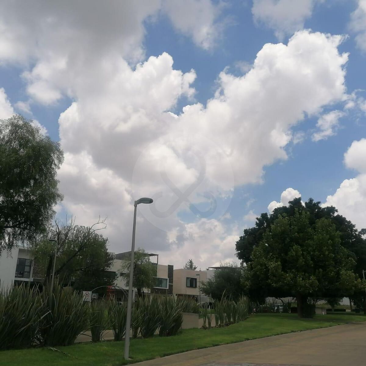17 de 17