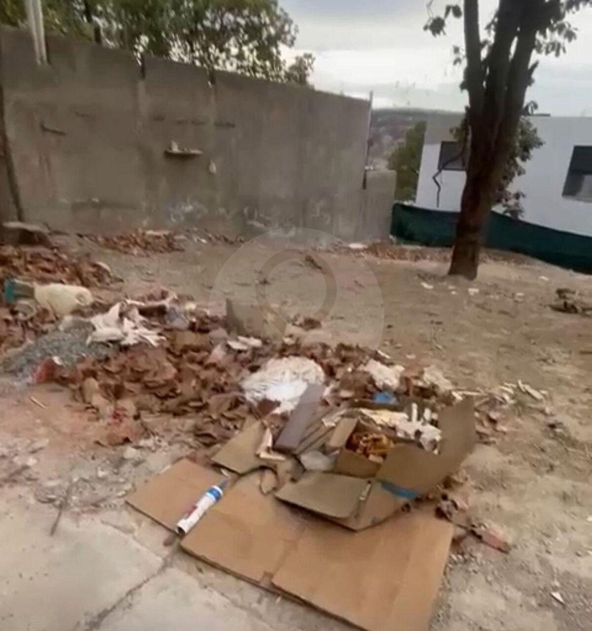 4 de 14
