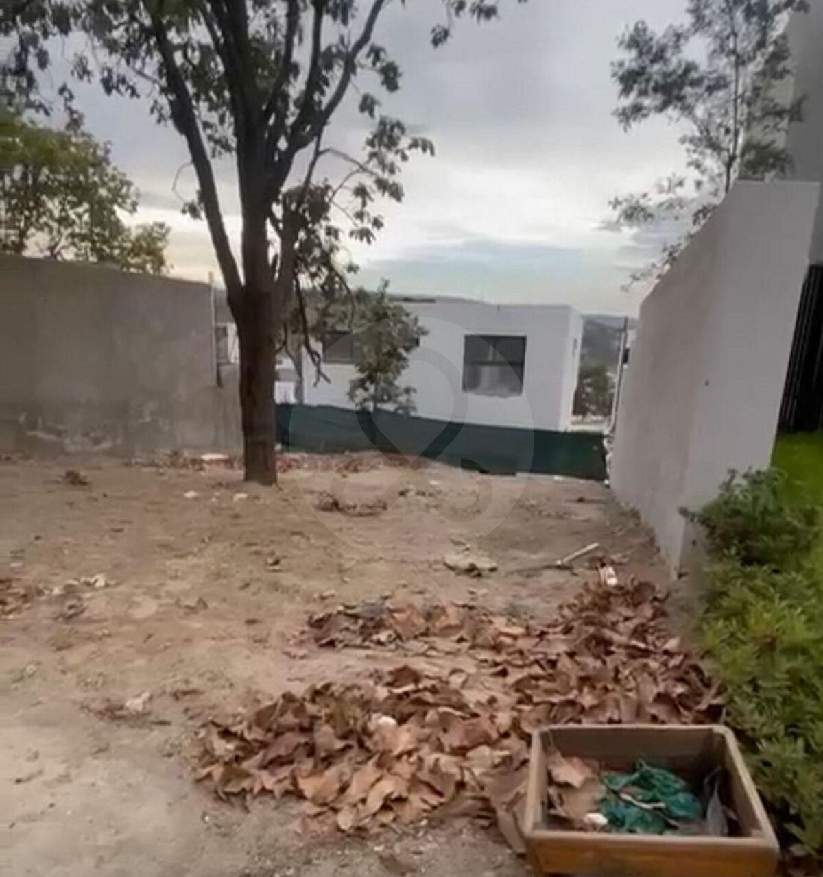 6 de 14