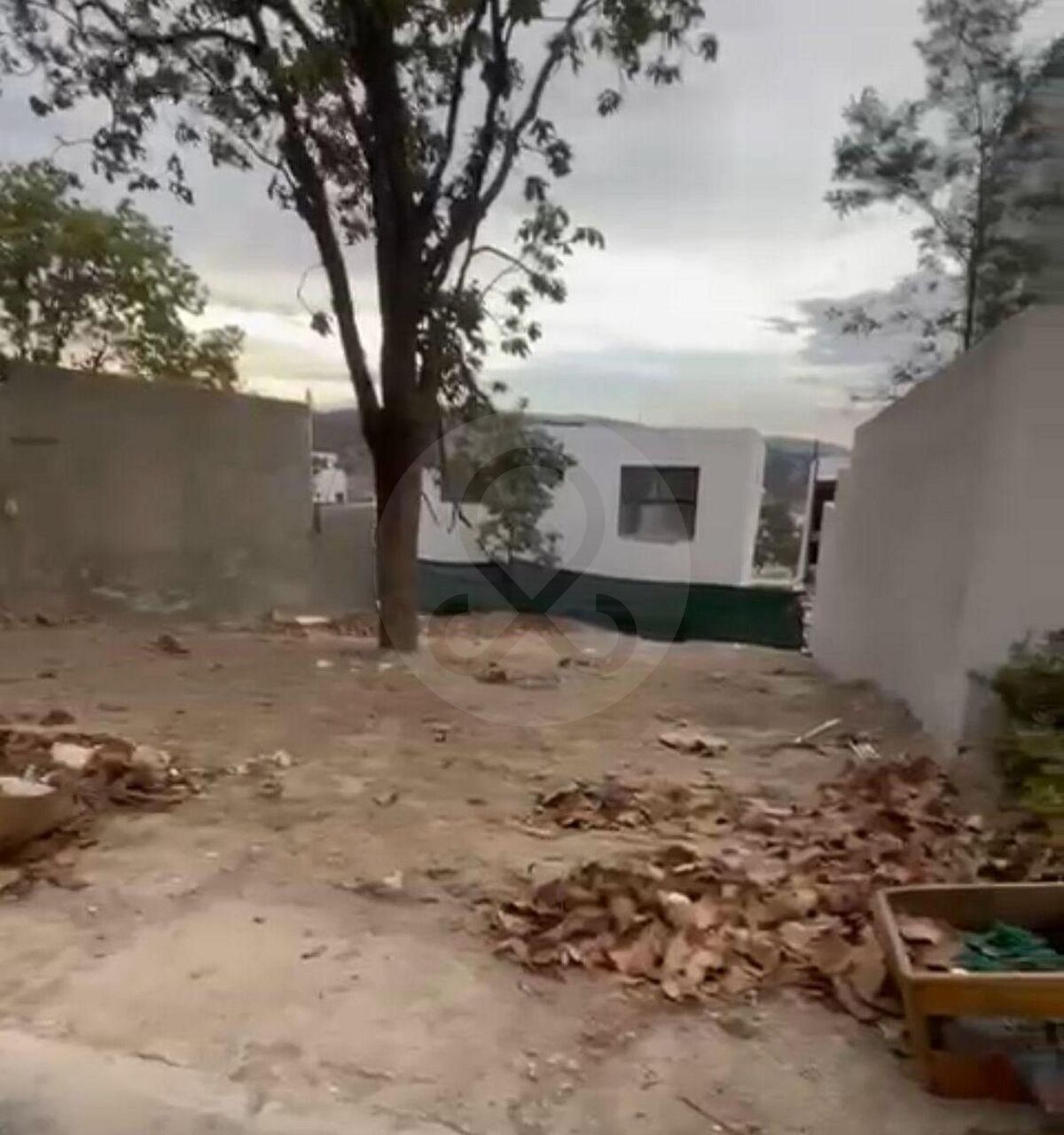 11 de 14