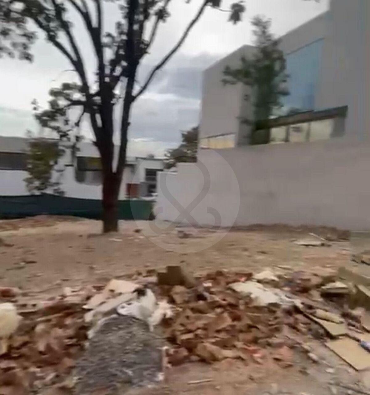 12 de 14