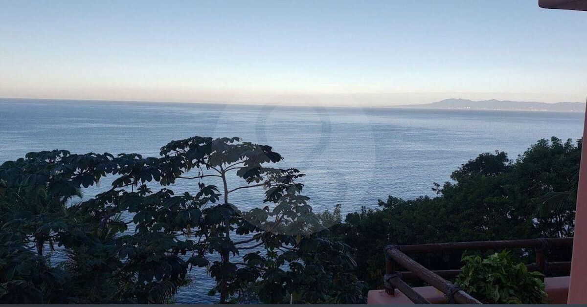 5 de 14