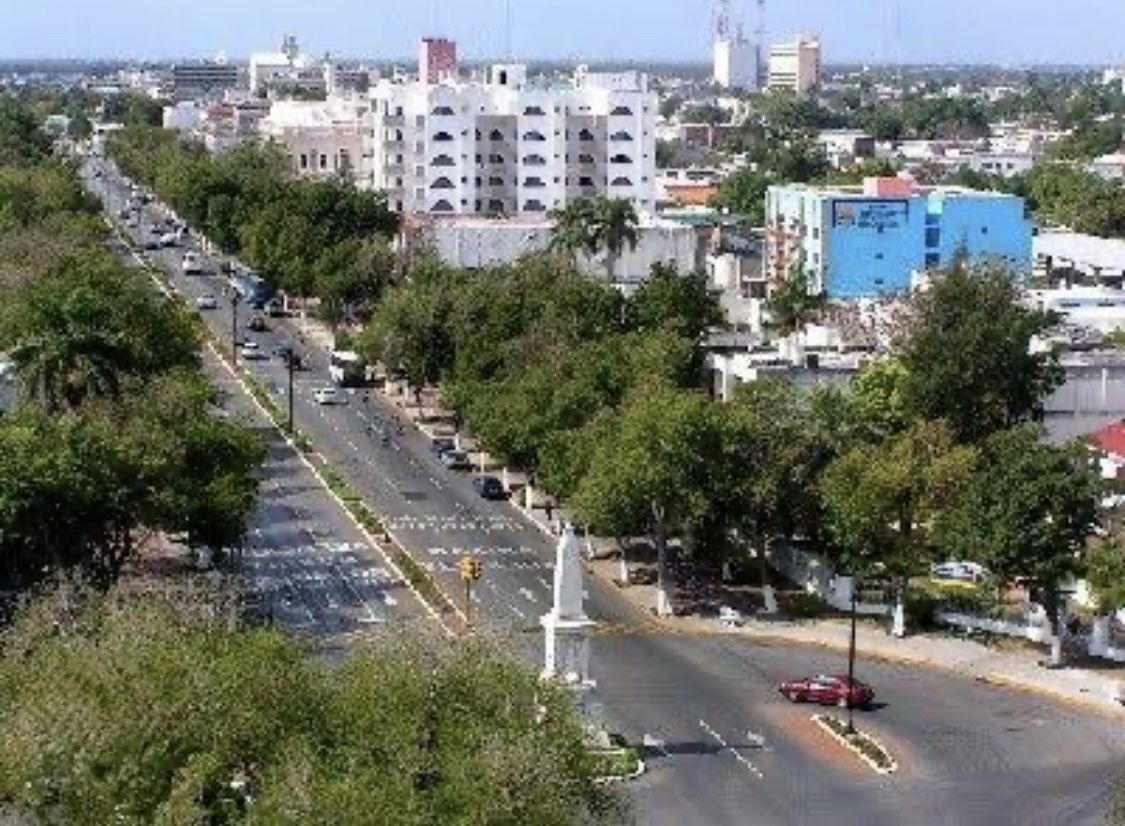 2 de 24