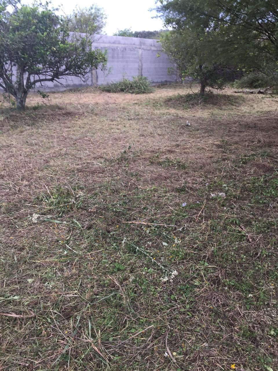 2 de 6