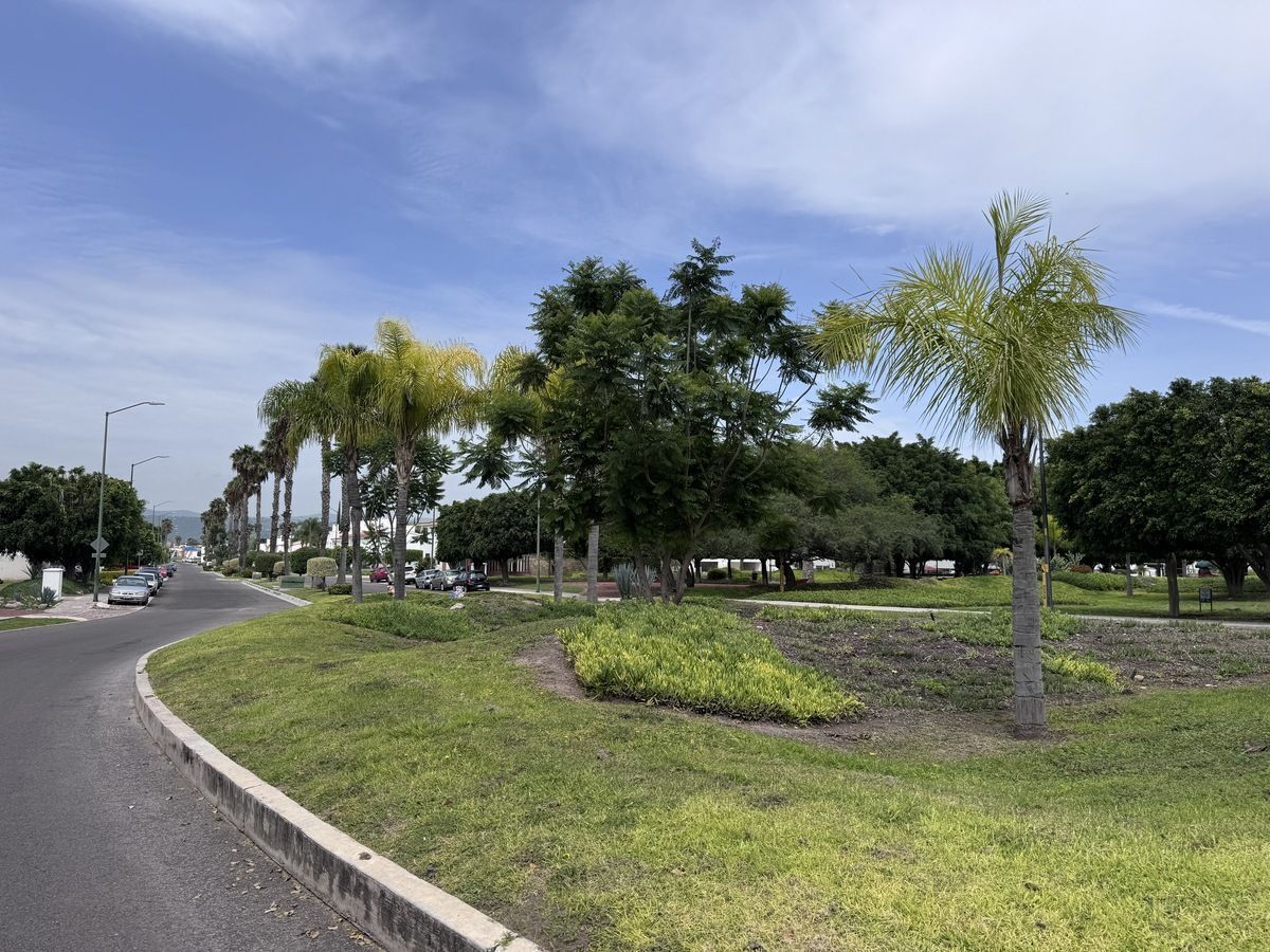 12 de 22