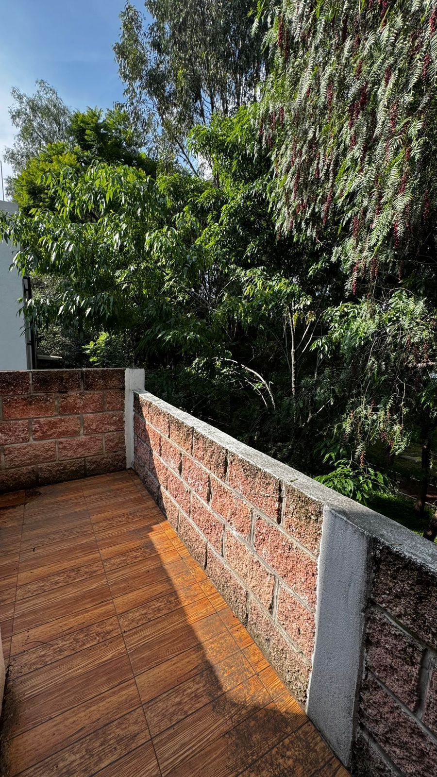 11 de 16