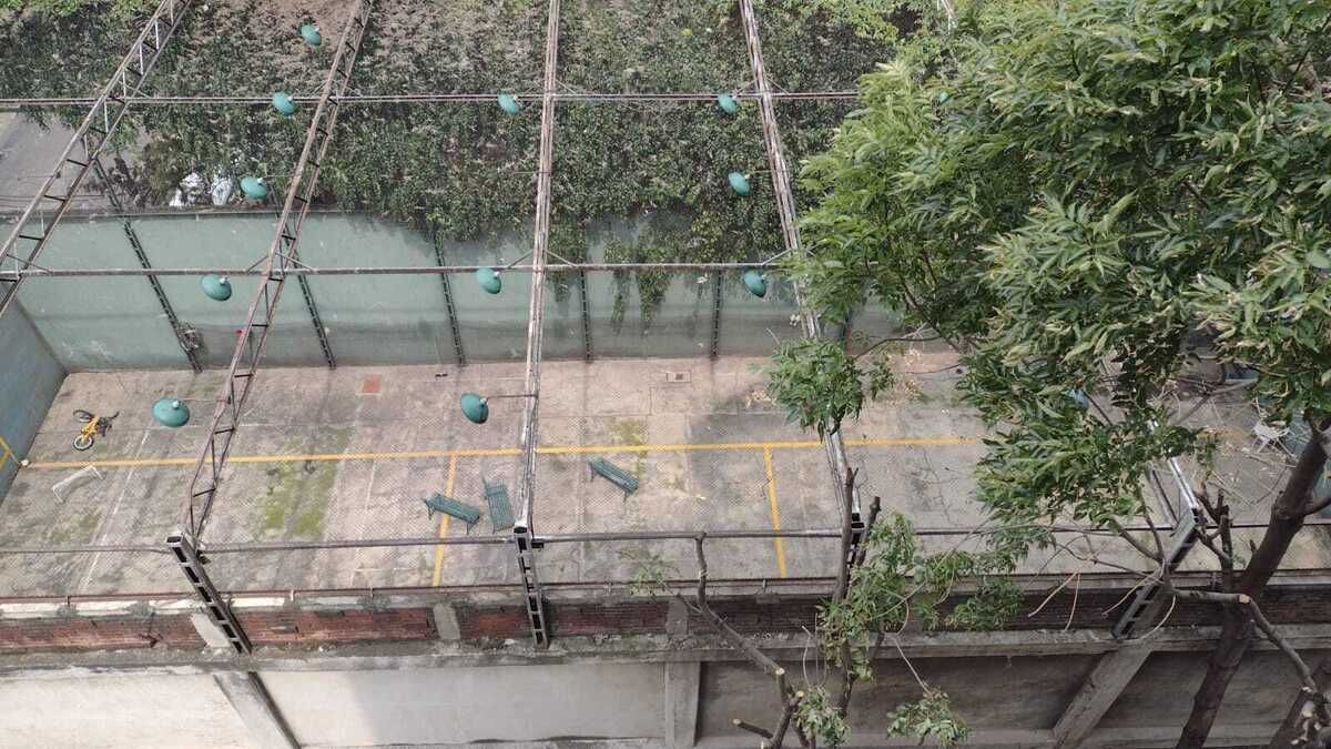 7 de 8