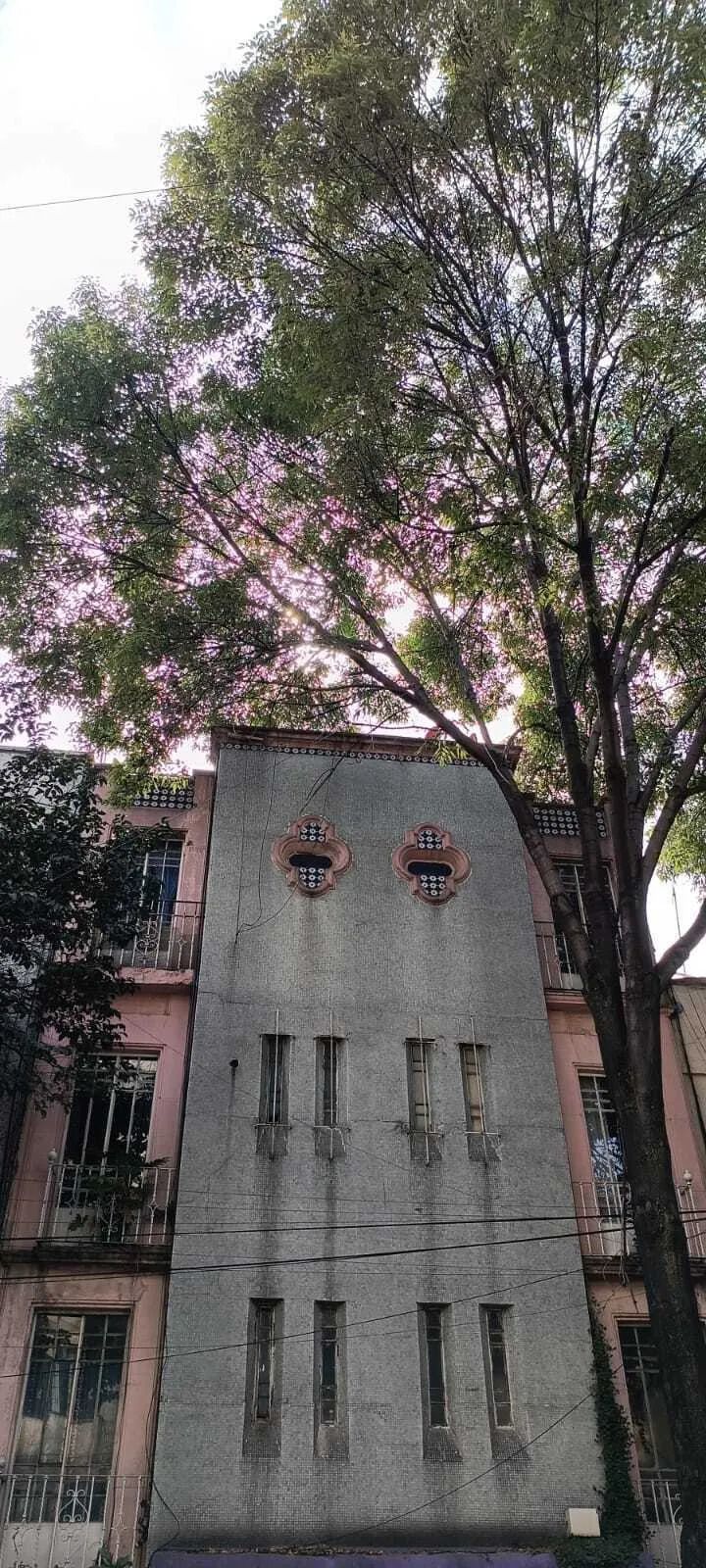 13 de 13