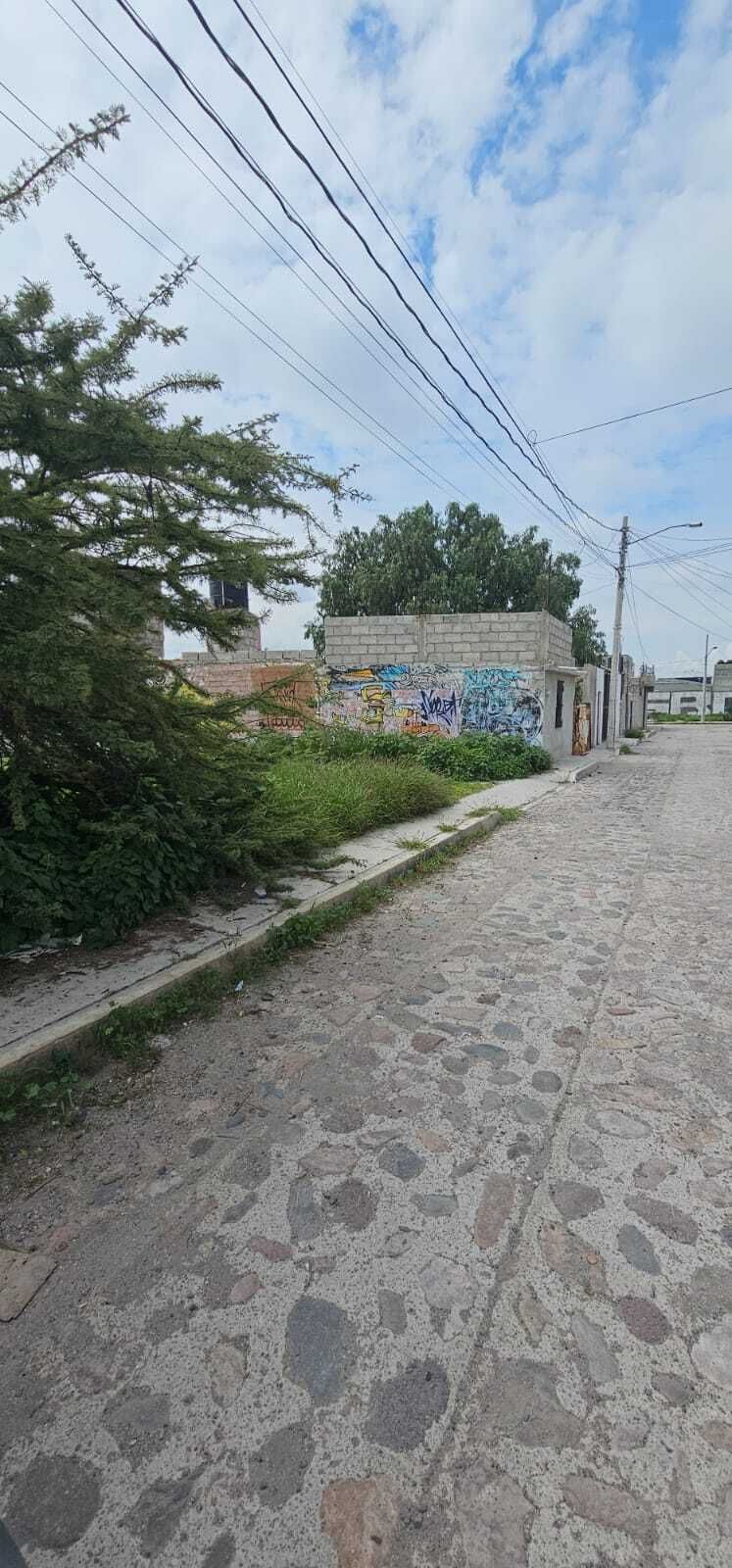 2 de 9