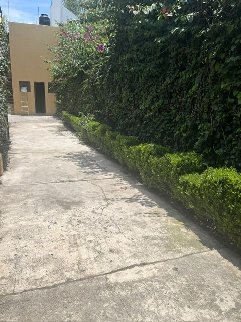 4 de 18